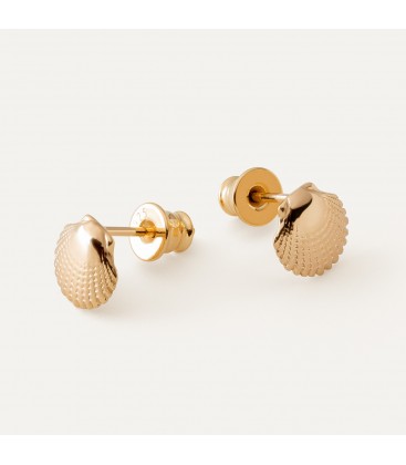 Shell earrings, sterling silver 925