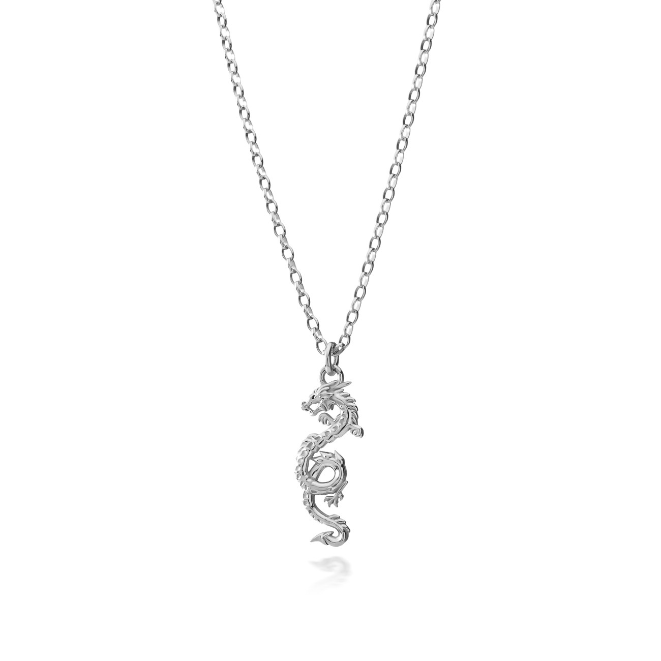 Silver dragon necklace, AUGUSTYNKA x GIORRE