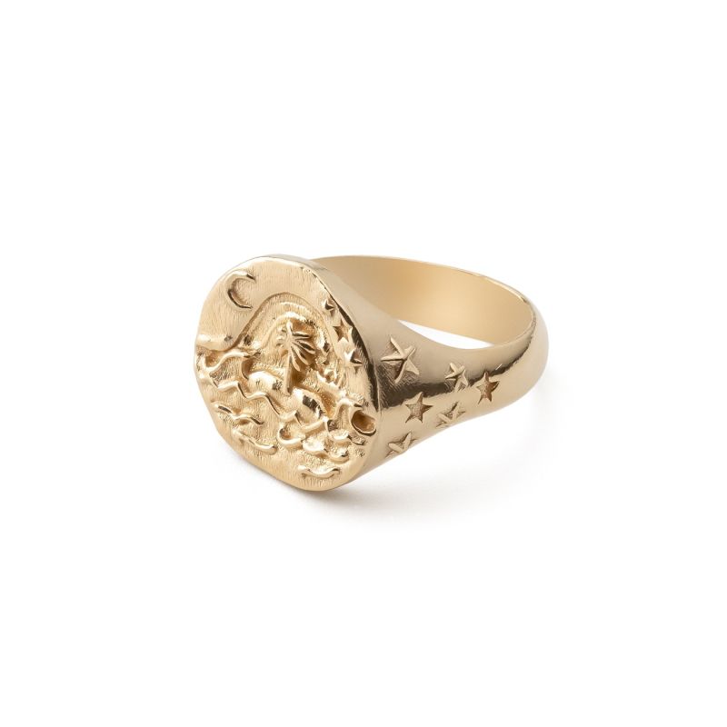 Sea signet ring, 925 silver with gold plating