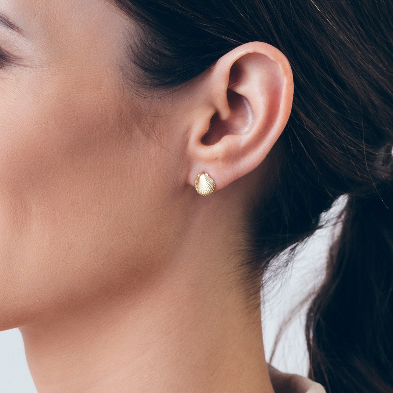 Shell earrings, sterling silver 925 gold plated                                    