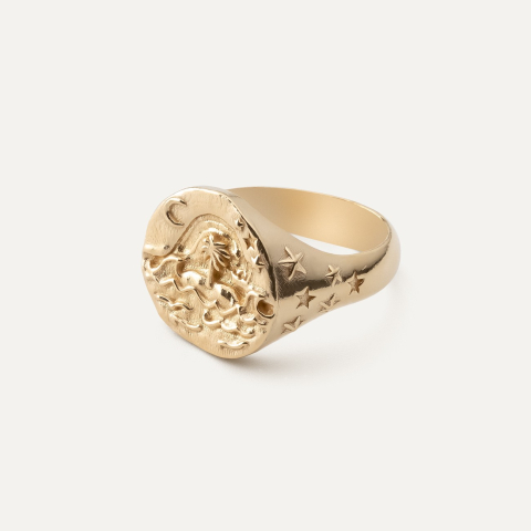 Sea signet ring, 925 silver with gold plating